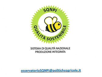 LOGO_SQNPI_E_OSSERVATORIO_edited.jpg