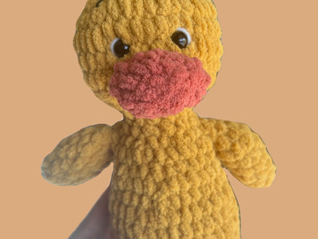 Crochet Projects