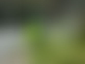 Prefeitura de Cotia intensifica frentes de manutenção, zeladoria e desassoreamento em diversos bairros