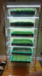 Thumbnail: Full PURE System 6 - 10 Rack Grow Room - 1000 FREE Growing Pads
