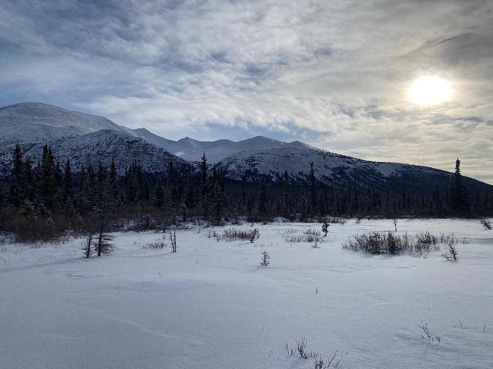 Breathtaking winter mountain landscape bathed in sunlight—a peaceful escape from screens.