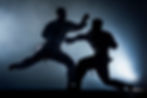 ELite Dragon Martial Arts UK