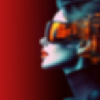 Website Design & Development Services