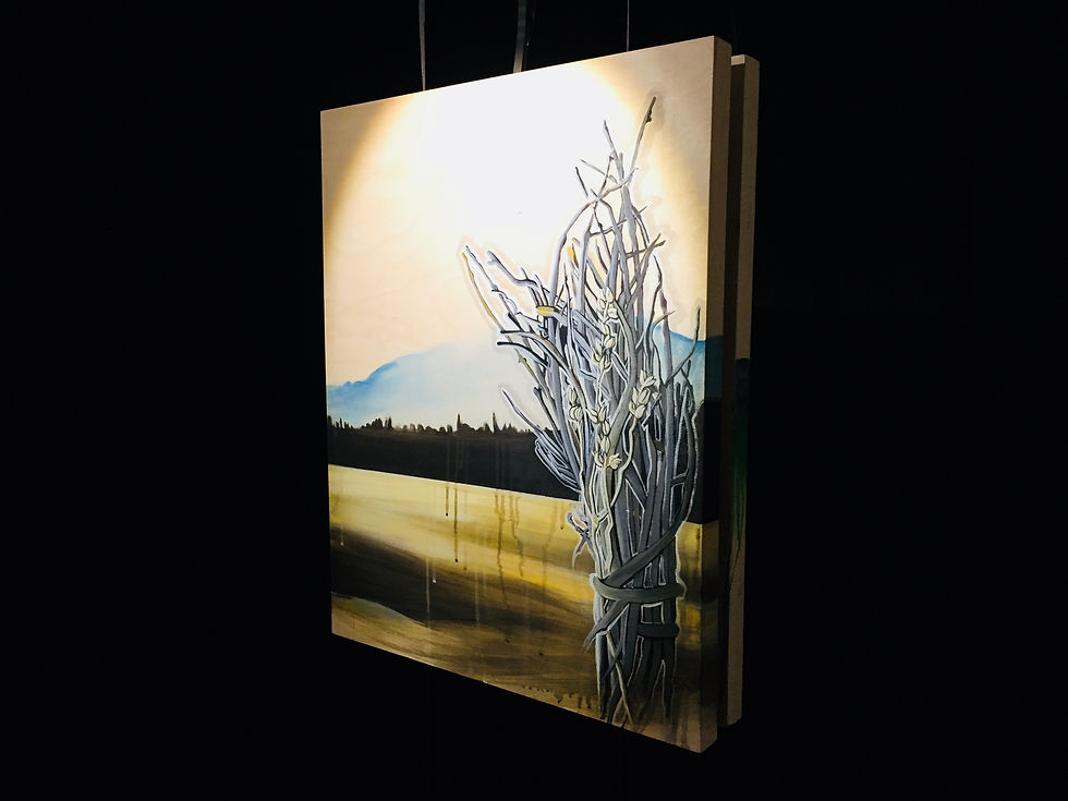 Rewilding: Fire starter 'Nemiah Valley' installed at Oxygen Art Centre