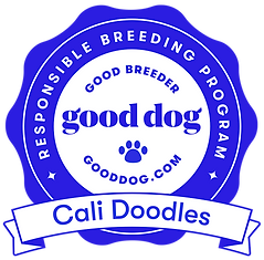 cali-doodles-276248-badge.png