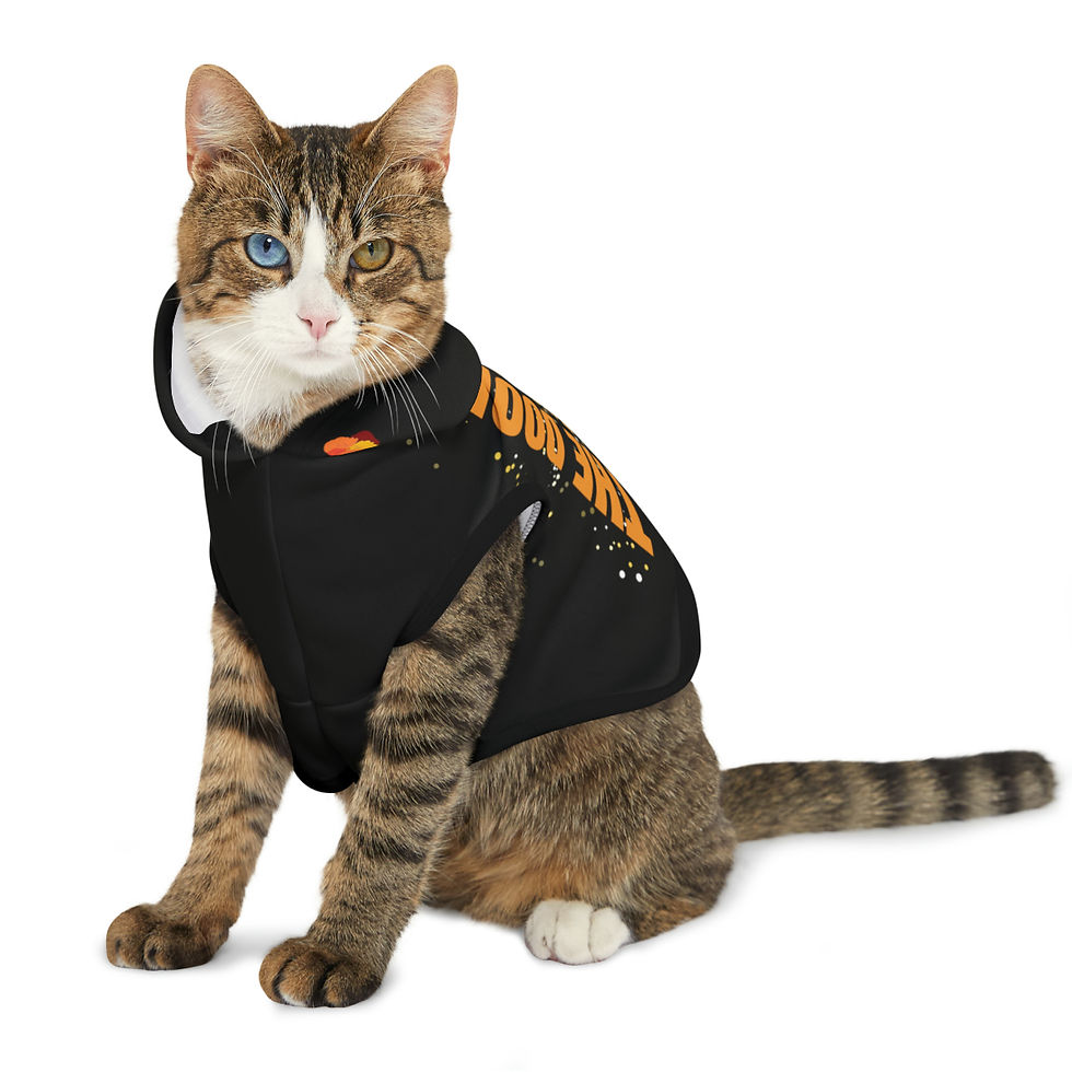 Thumbnail: THE DOOD Pet Hoodie