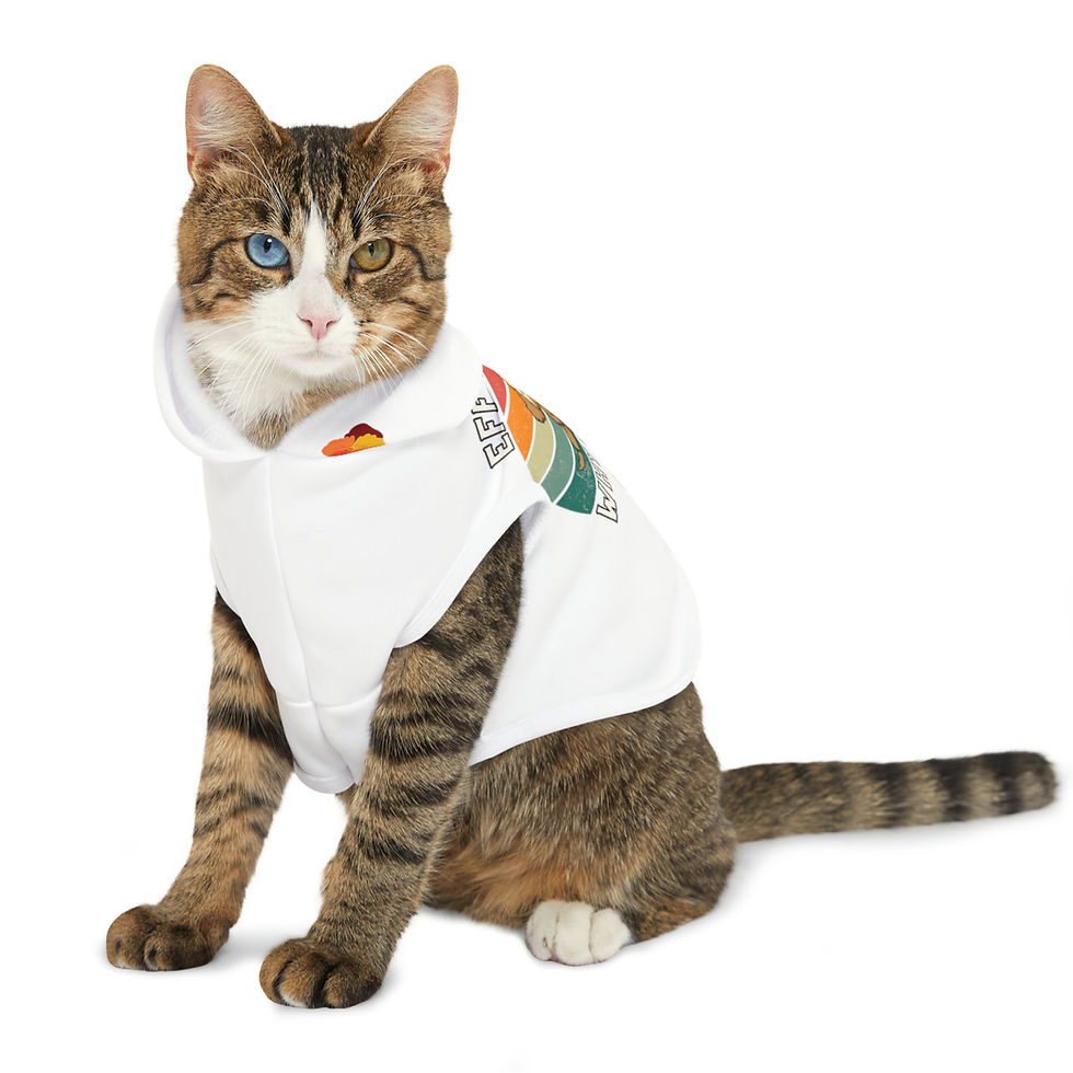 Thumbnail: Meditating Dood Pet Hoodie
