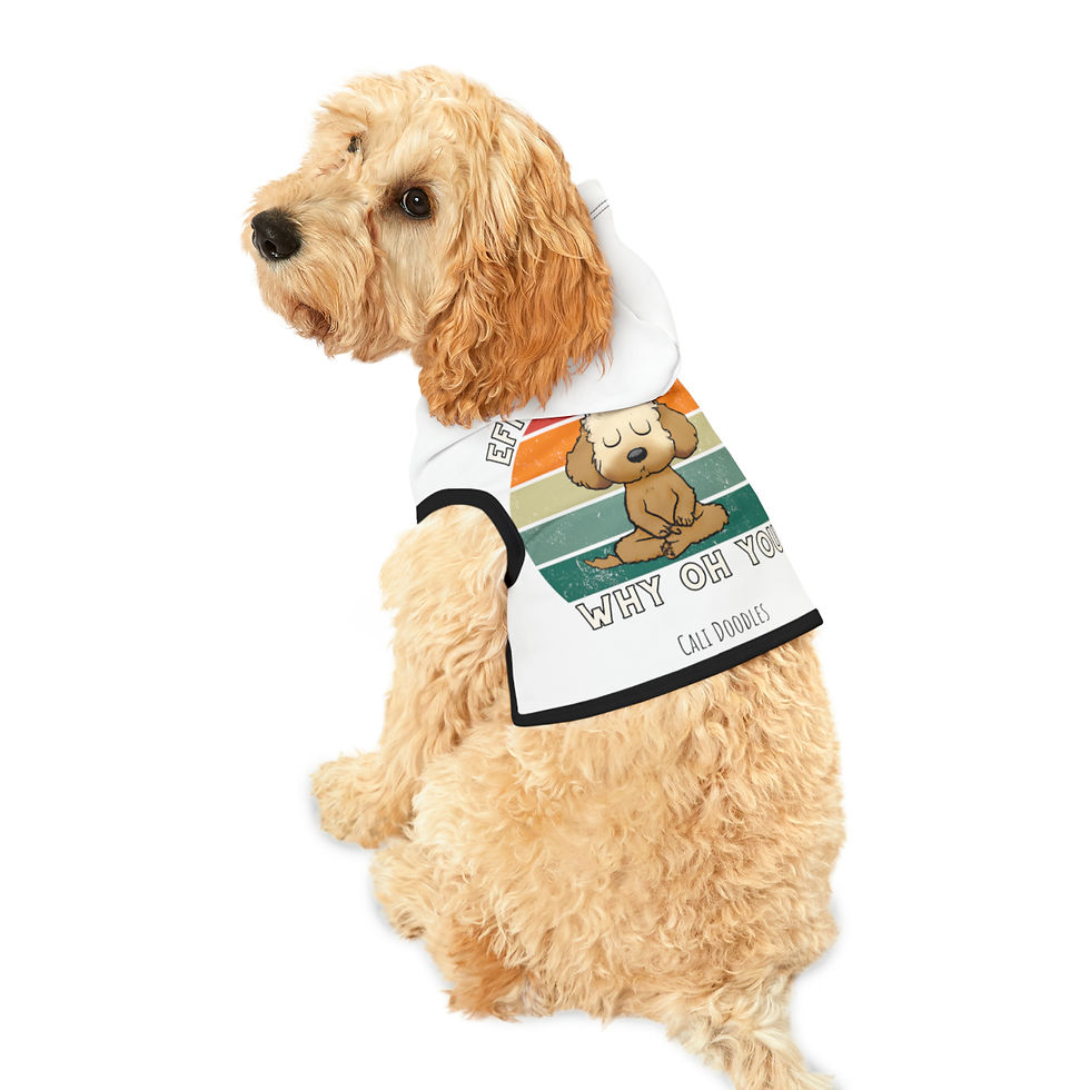 Meditating Dood Pet Hoodie