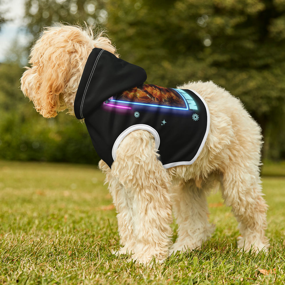 Thumbnail: Doodle Nebula Pet Hoodie