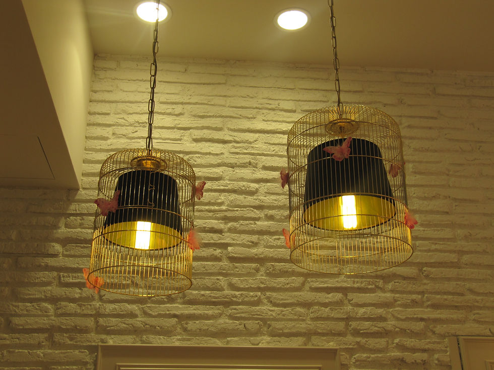 Molly Bracken - Norte Shopping