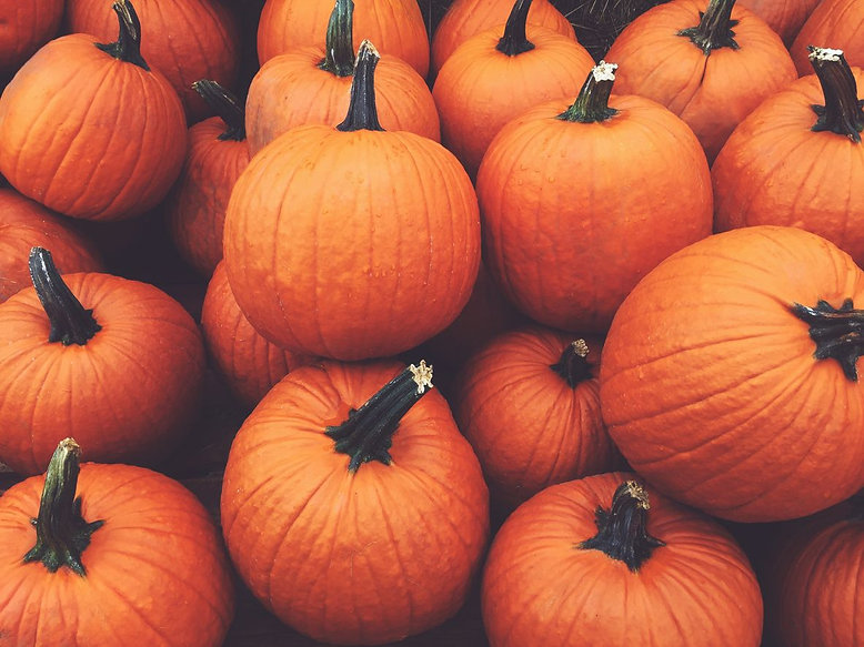 Pumpkin Skincare Products To Try This Au