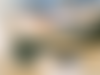 BRANDING YOUR NEW BUSINESS ON A BUDGET