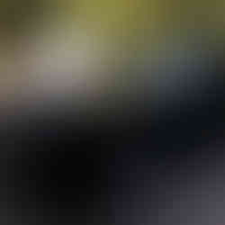 Black Rolls Royce after Ceramic Coating