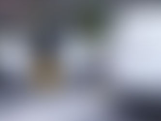 Advice on how to grow a mobile detailing franchise