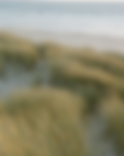 88.png