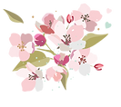 AMD_Flowers(2).png