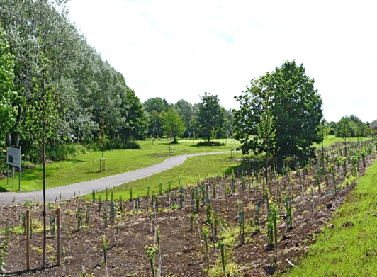 EA & Leicester City Council