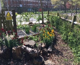 Project Saplings