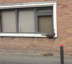 Interserve