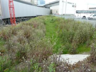 Westfield Europe Ltd