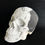 Thumbnail: Skull