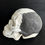 Thumbnail: Skull