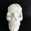 Thumbnail: Skull