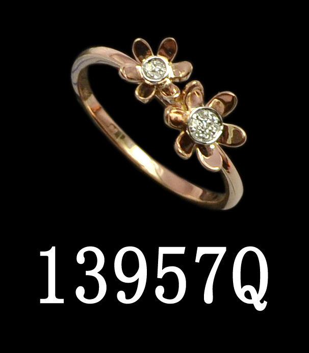 13957QWD4GT