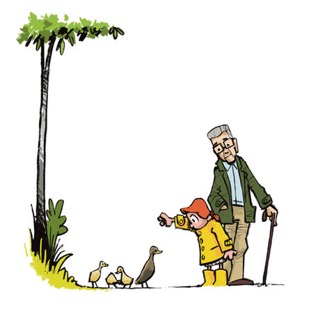 A little girl feeds the ducks 