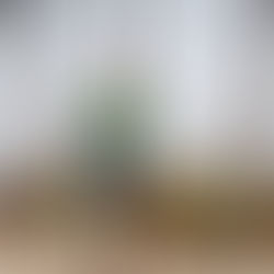 رحلة البحث عن الأملاح