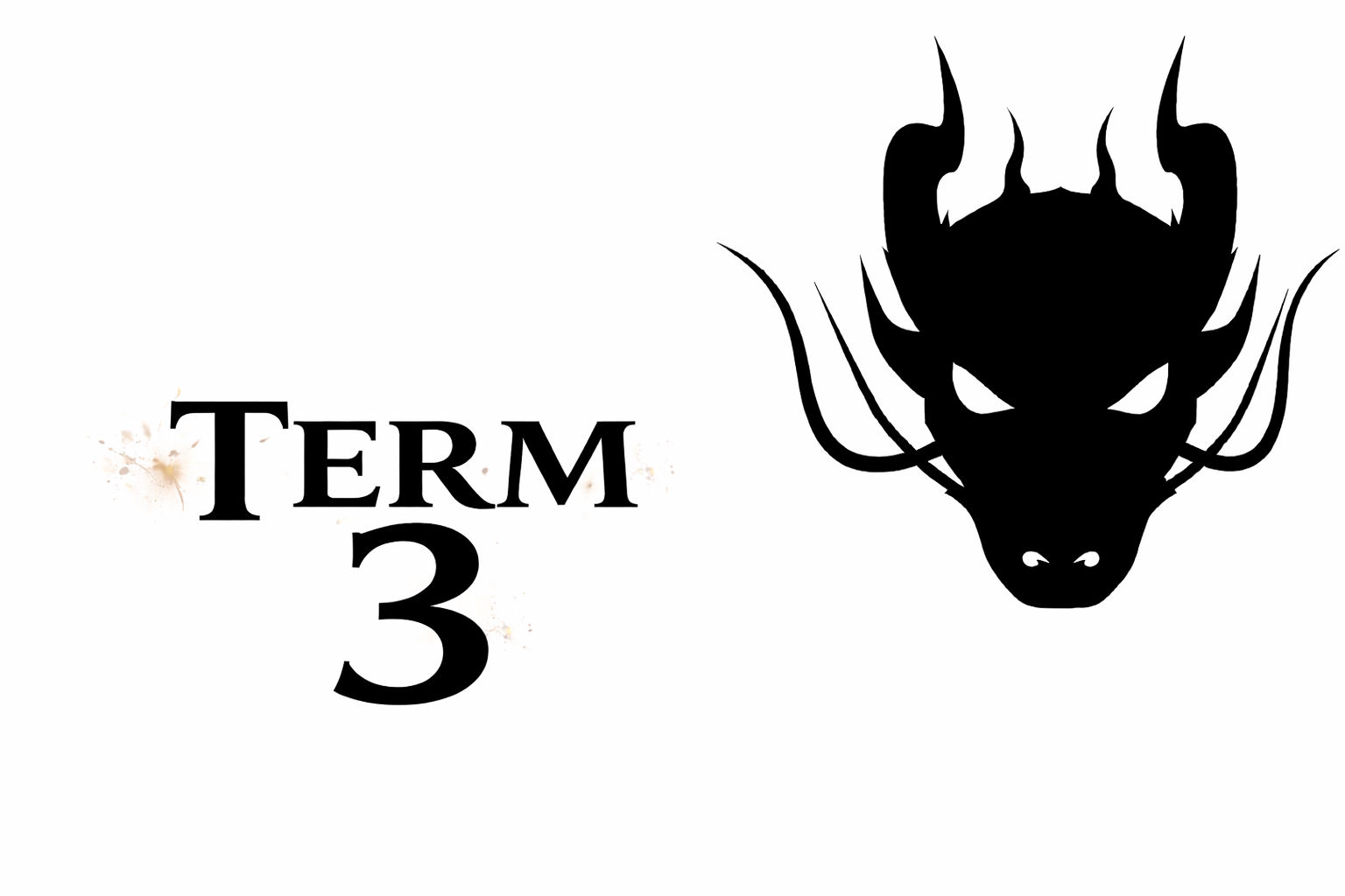 Existing Student Fees - Term 3 (3-4 Classes and/or sparring pw)