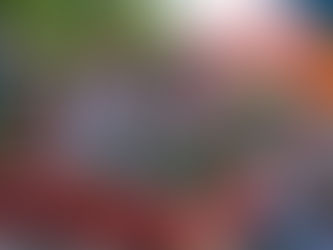 Desfile noturno da 40ª Oktoberfest promete agitar Santa Cruz na sexta