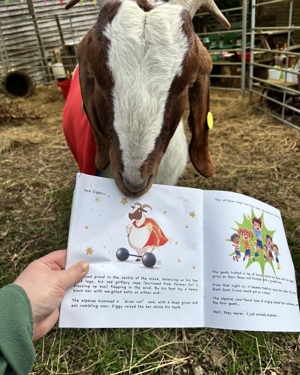 Thumbnail: The Great Goat Circus of Lower Bush Alpacas