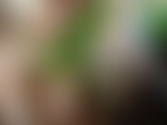 הגעתי הביתה אחרי יום עבודה