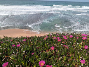 Ericeira, perfect quiet beach town