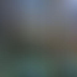 Hike in the Clouds - JIALI MOUNTAIN(加里山)