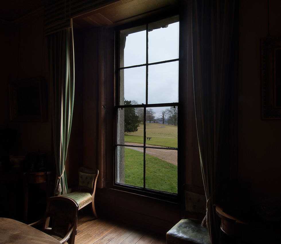 View of parkland through large, old window with long drapes either side.