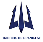 trident-logo-final 8888.png