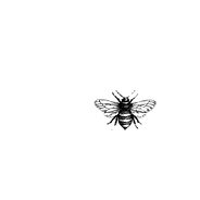 Bee_edited.png