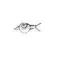 Snail.png