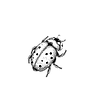 Ladybird_edited.png