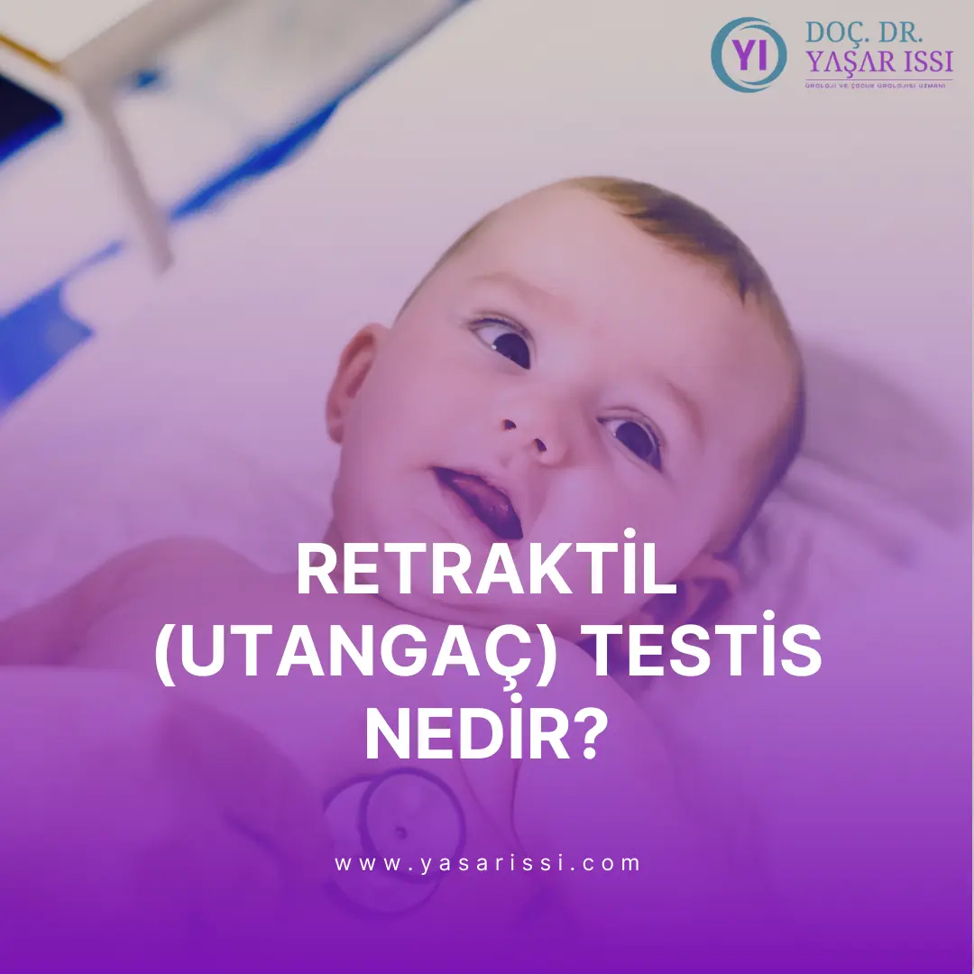 retraktil testis