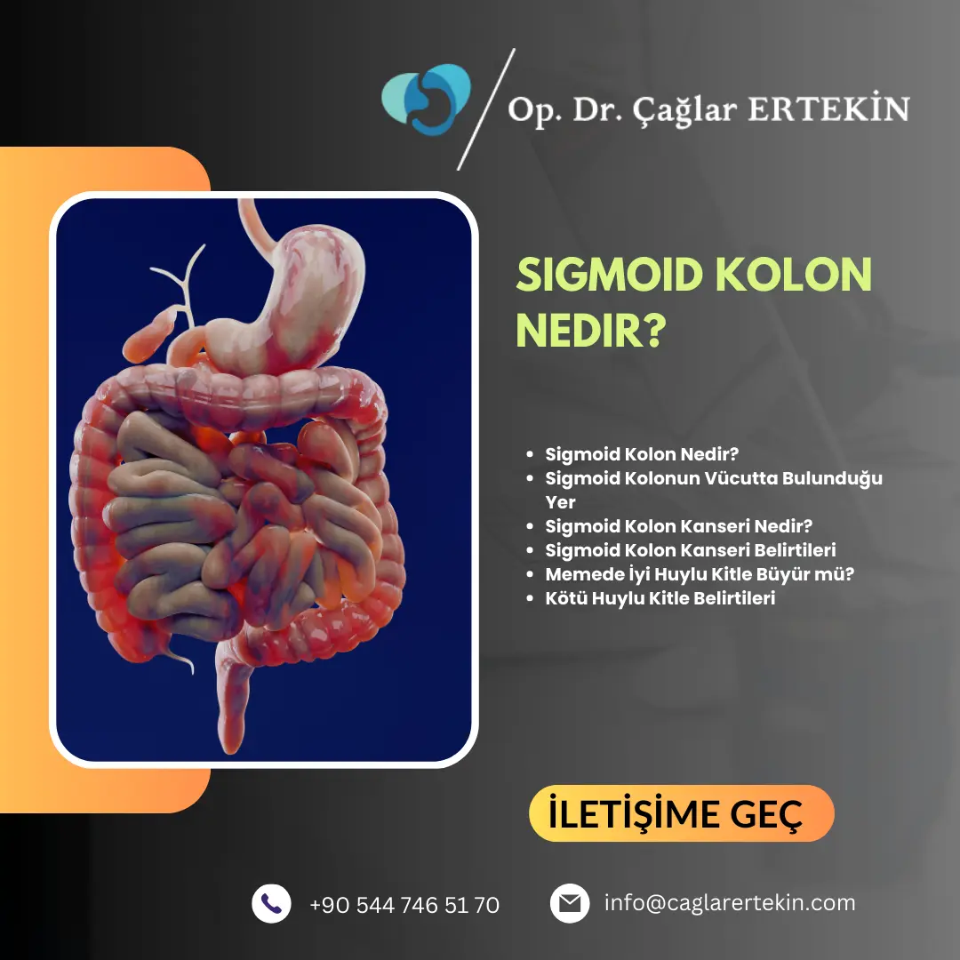 Bırads 5 kaçıncı evre