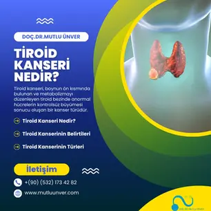 Tiroid Kanseri Nedir? Belirtileri, Evreleri ve Tedavi Yöntemleri