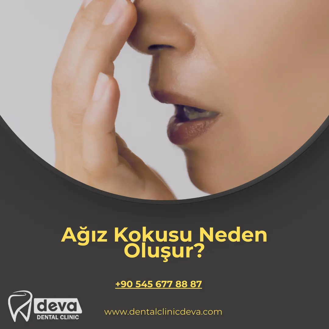 Alveolit Görüntüsü