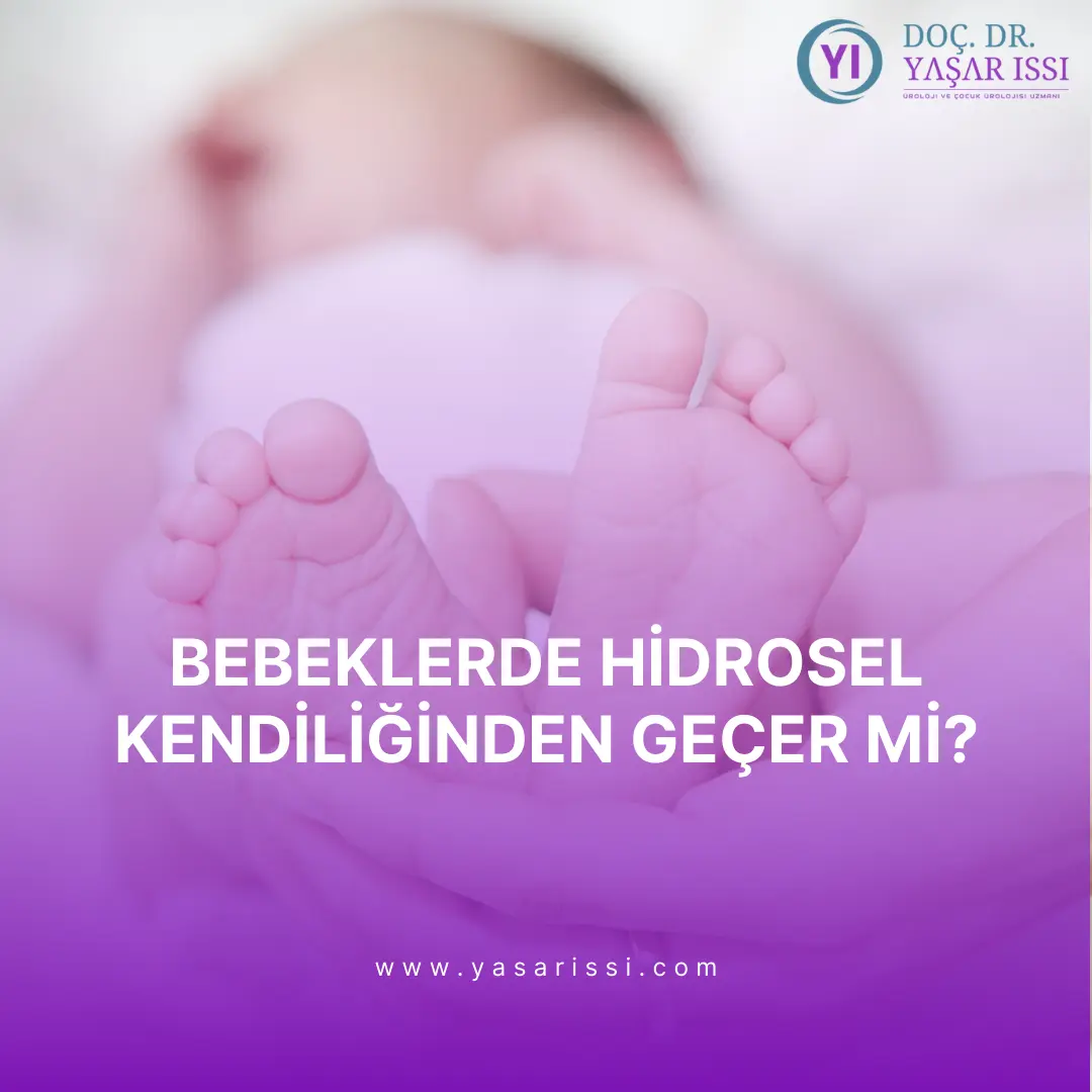 testiste kist