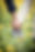Future parents holding hands and a pair of little shoes over blur yellow flowers backgroun
