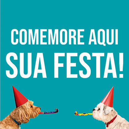 festa.jpg