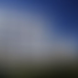 Launching TimberXP !