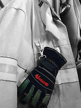 Vanguard Picture.jpg